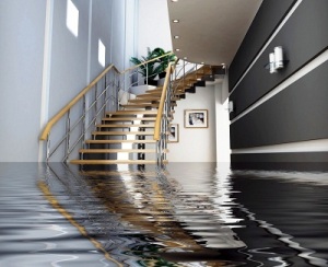 Flooded Basement Toronto